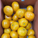 마진농장 이미지