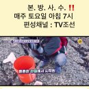 [본방사수] 3mm 관절 연골을 지켜라!_손범수와 함께 100세 더하기 34회 예고 TV CHOSUN 241116 방송 이미지