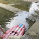 하조민박 이미지