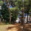 청학근린공원[청학-5] 이미지