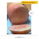 복자네복숭아