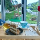 플로우데이 이미지