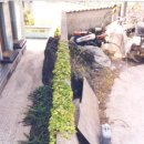 상예동지석묘 5호 이미지