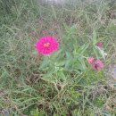 용인한우마을 이미지