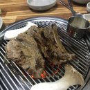 우돈애