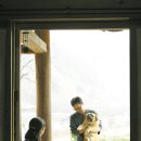 봄볕내리는날 이미지