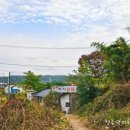 까치주유소 이미지