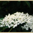 한백농장 이미지