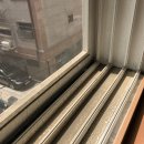 크린매니아 이미지