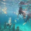 CLUB E·S 통영리조트 | 2. 길리 스노클링 포인트, 스노클링 퍼블릭 투어 후기(feat, 전기스쿠터 대여, 숙소 위치 추천, 길리...