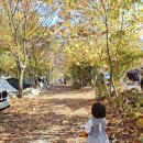 이지마트 | 서울인근 캠핑장 몬테비얀코 웻자켓 이지캠핑 2층 숙소 후기