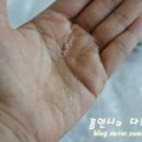 유일워시 이미지