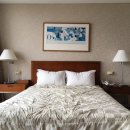 다온이네 민박 이미지