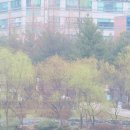 오리둥지 이미지