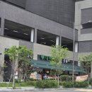 대구오페라 스위첸 아파트 앞 횡단보도 | 고성동1가 주변 탐방🌱