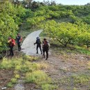 소봉 농장 이미지