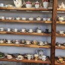 공원플라워 이미지