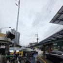 청량리농수산물시장 | 청량리 농수산물시장 리얼후기 | 왕란·청양고추·깻잎 시세 총정리(경동시장)