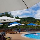 엘리시안강촌수영장 이미지