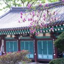 광산구-054 이미지