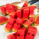 남수농장 이미지