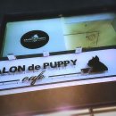 살롱드퍼피 이미지