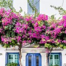 쉼, 힐링하우스 이미지