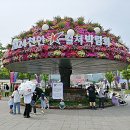 6952 | 착한여행6952 천안시티투어 통해 다녀온 천안K컬처박람회