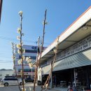 뉴세븐모터스 이미지