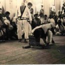 청주성인태권도 이미지