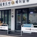 살롱드비
