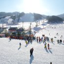 휘닉스파크 이미지