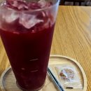 세라젬 압구정점 이미지