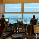 광안비치호텔 더엠 | 부산 호텔 추천 | 파크하얏트 부산 광안대교뷰 후기