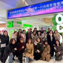 꿈꾸는 자작나무 이미지