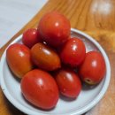 [일상] 그래, 인생은 카르페디엠이지