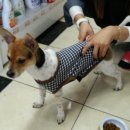 파란종합 동물병원 이미지