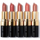 브라운스프링(Brown Spring) 이미지