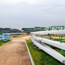 충주탄금호조정체험학교 Daum카페