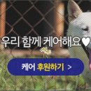 교하슬기유치원 이미지