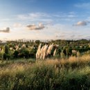 산이정원 이미지