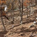 함양농장 이미지