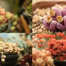 무주자동차공업사 이미지