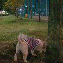 이마트 노브랜드 익산부송점 이미지