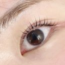 반송동223 | 동탄 반송동 속눈썹펌 모아래쉬 손상도 적은 속눈썹펌 추천