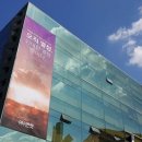 못된고양이 이미지