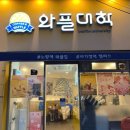 와플대학사가정캠퍼스