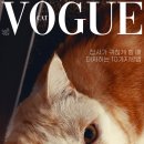 아임로또 네이버블로그