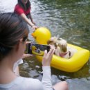 돌담집식당 이미지