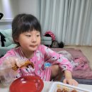 날아라꼬끼오 이미지